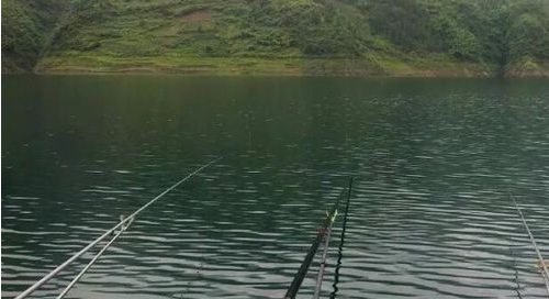 野坑如何才能釣到大鯽魚！